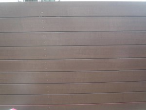 P3070004-s