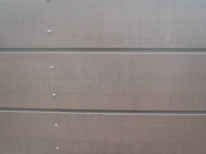 P3070005-s