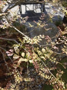 20180420_085556