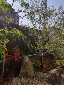 20180420_085631
