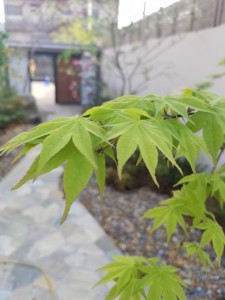 20180420_170715