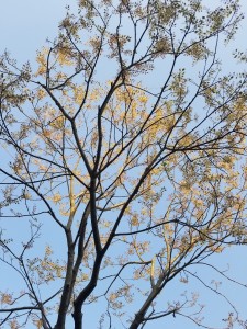 20180420_171821
