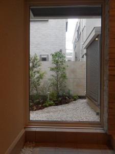 DSCN2133