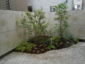 DSCN2135