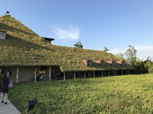 IMG_2321
