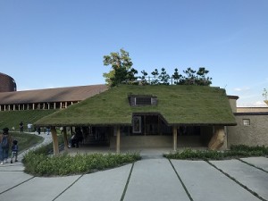 IMG_2327