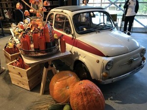 IMG_2342