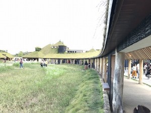 IMG_2362