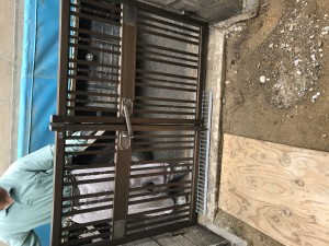IMG_2599