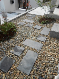 DSCN0286