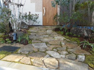 DSCN1035