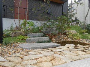 DSCN9647