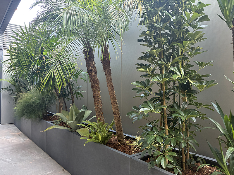 植栽計画｜桑和スタッフブログ