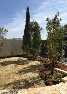 庭｜桑和スタッフブログ