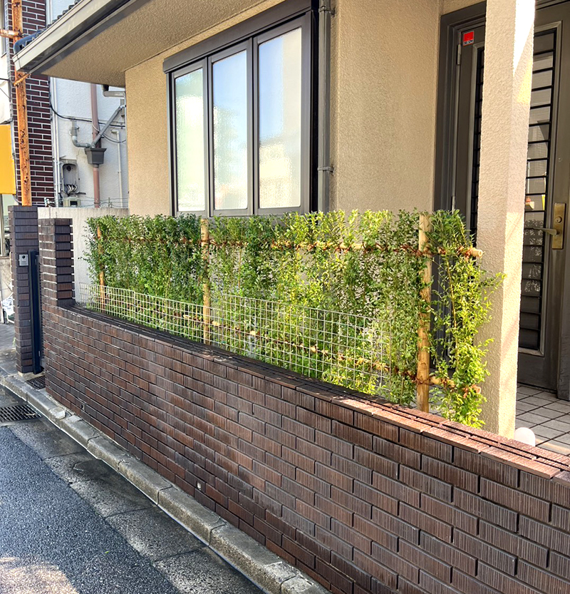 植栽の剪定-after｜桑和施工事例