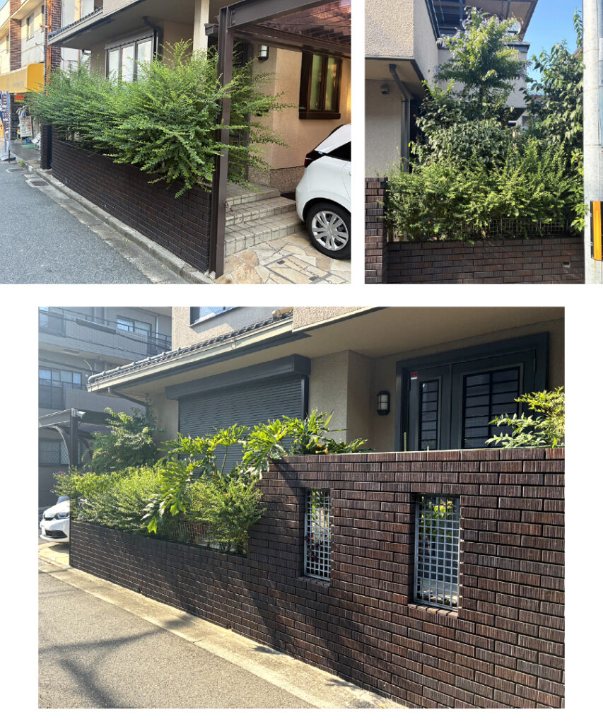 植栽の剪定｜桑和施工事例