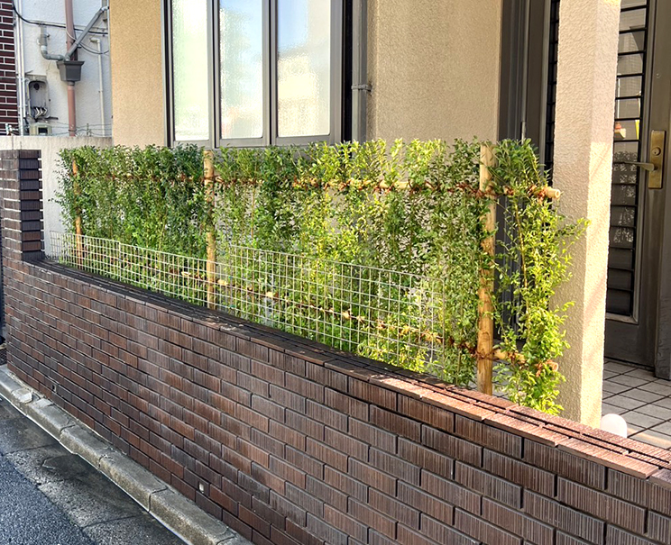 植栽の剪定｜桑和施工事例